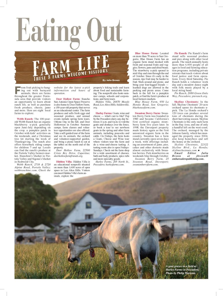 Newspaper Page Design