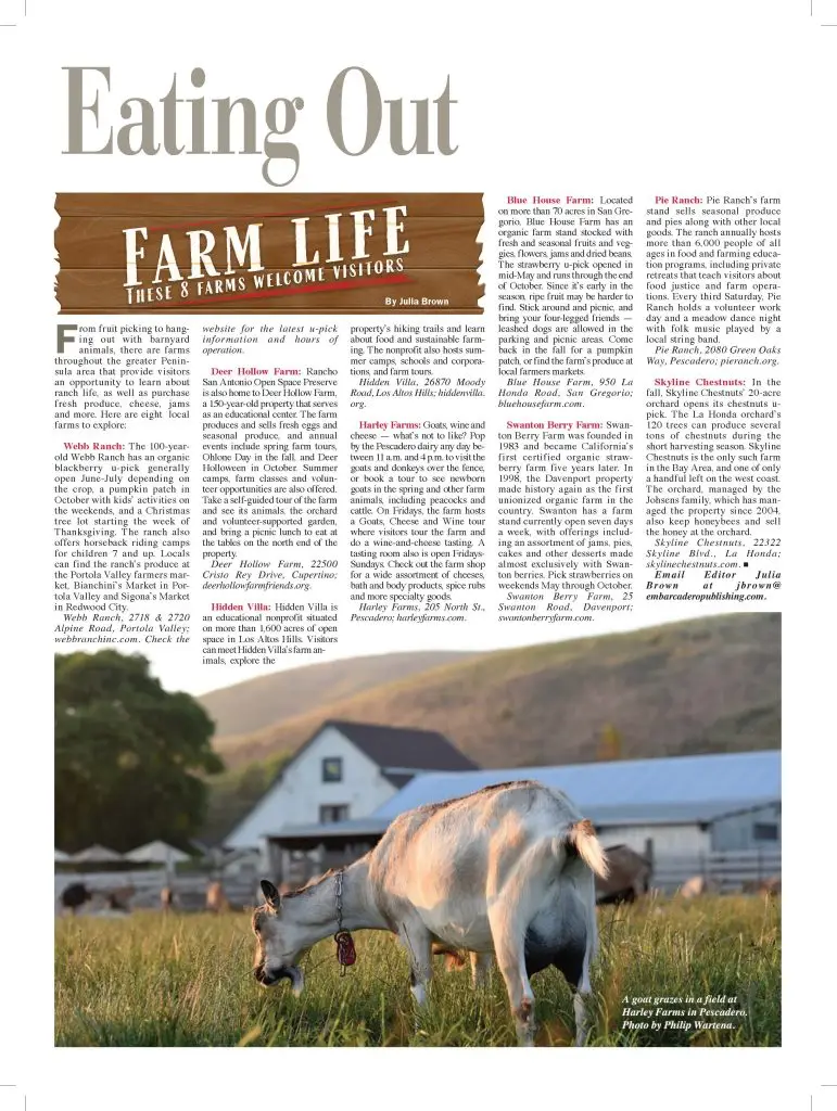 Newspaper Page Design